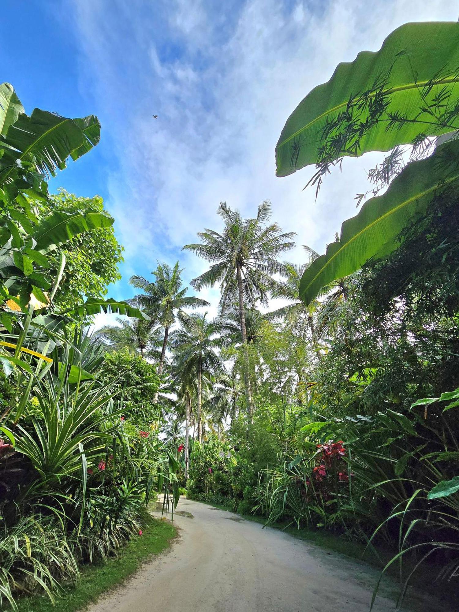 Isola Del Sole Villas And Resort General Luna  Exterior photo